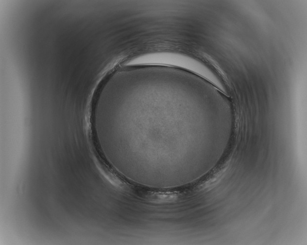 X0000112730443200908201329