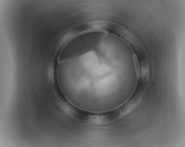 X0000112730444200908201329