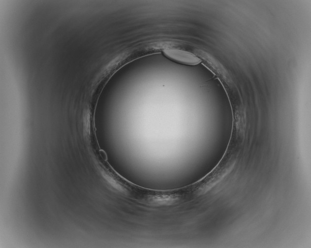 X0000112730445200908201329