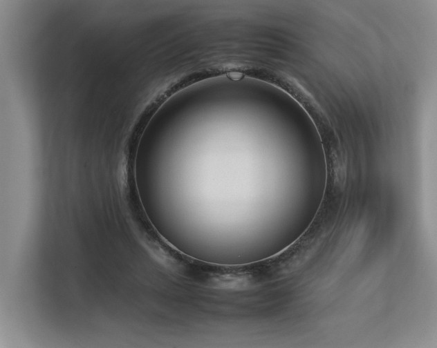 X0000112730447200908201329