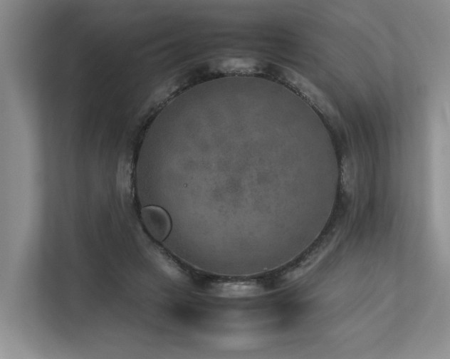 X0000112730449200908201329