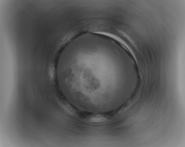 X0000112730451200908201329