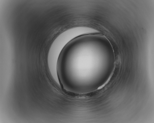 X0000112730452200908201329