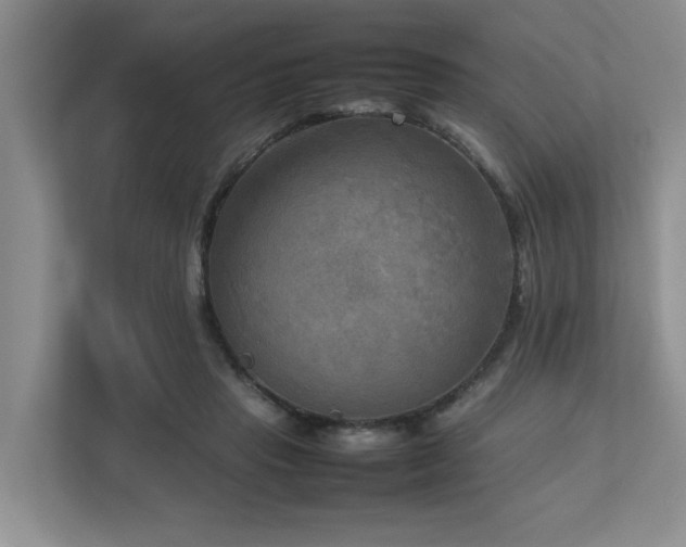 X0000112730453200908201329