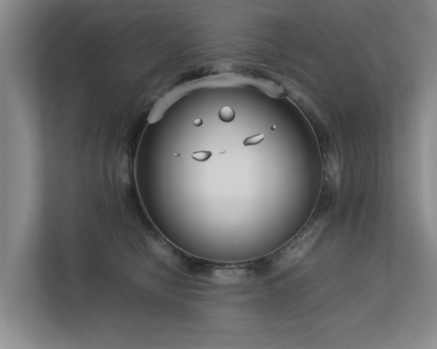 X0000112730470200908201329