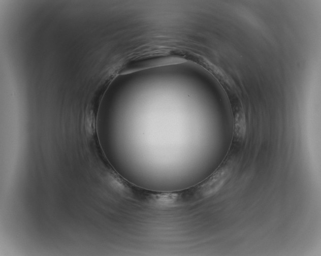 X0000112730474200908201329