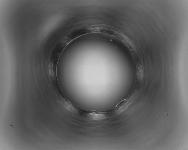 X0000112730477200908201330