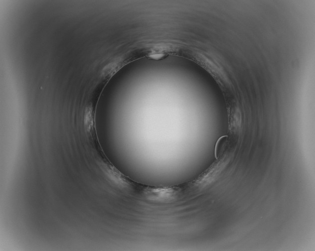 X0000112730478200908201330