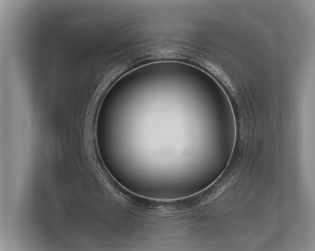 X0000112730481200908201329