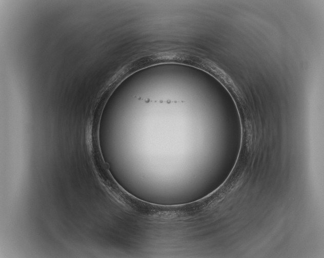 X0000112730482200908201329