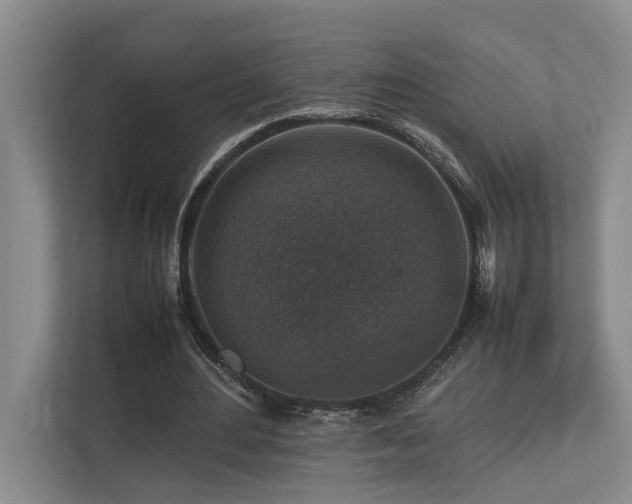 X0000112730484200908201329