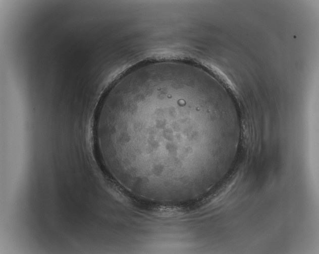 X0000112730487200908201329