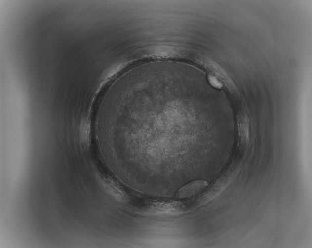 X0000112730488200908201329