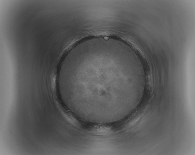 X0000112730491200908201329