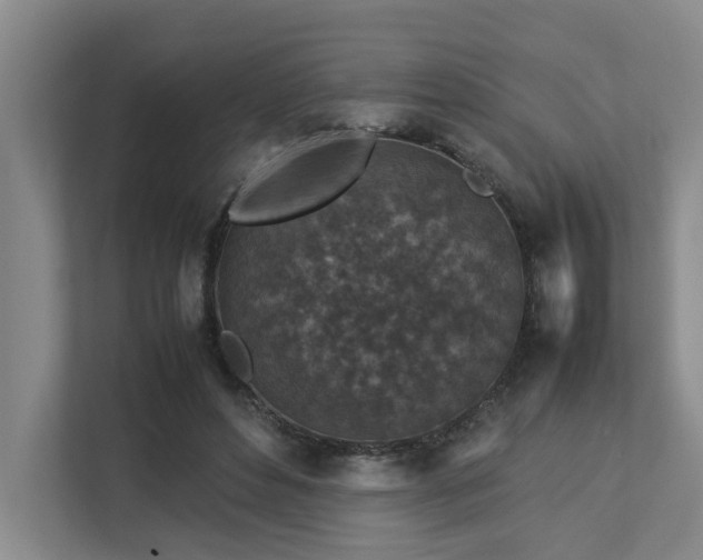 X0000112730496200908201329