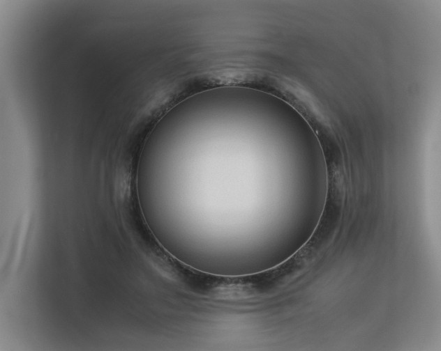 X0000112730499200908201329