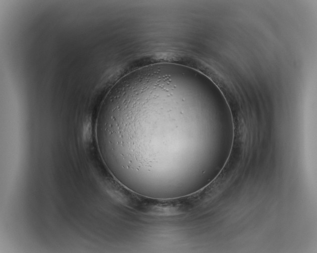 X0000112730502200908201329