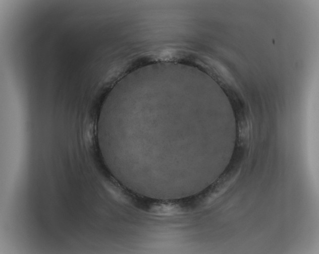 X0000112730503200908201329