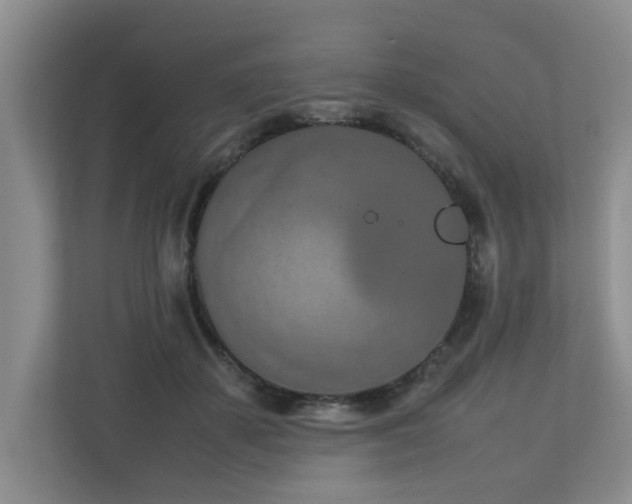 X0000112730507200908201329