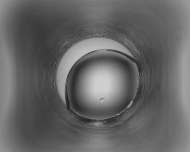 X0000112730509200908201329