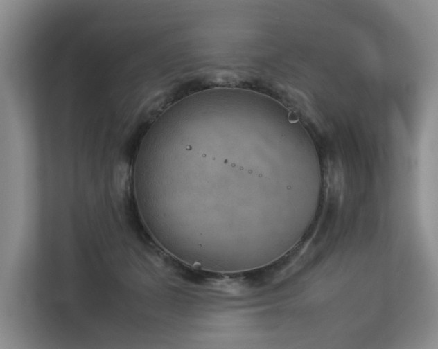 X0000112730511200908201329