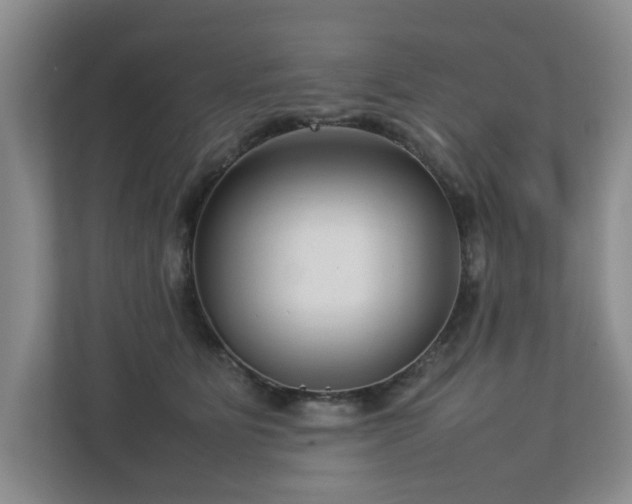 X0000112730515200908201328