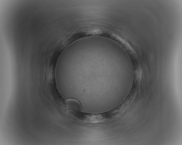 X0000112730517200908201328