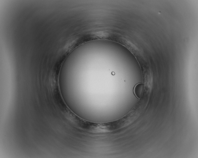 X0000112730518200908201328