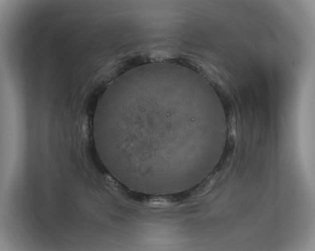 X0000112730519200908201328