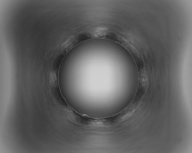 X0000112730523200908201328