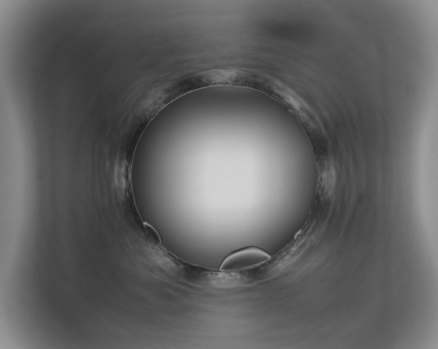 X0000112730525200908201328