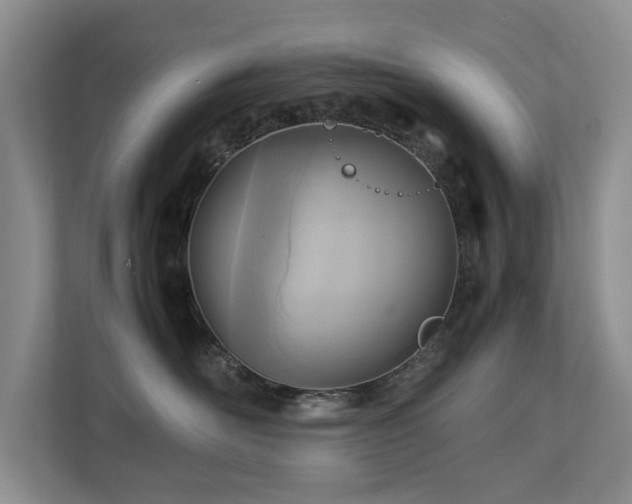 X0000112730526200908201328