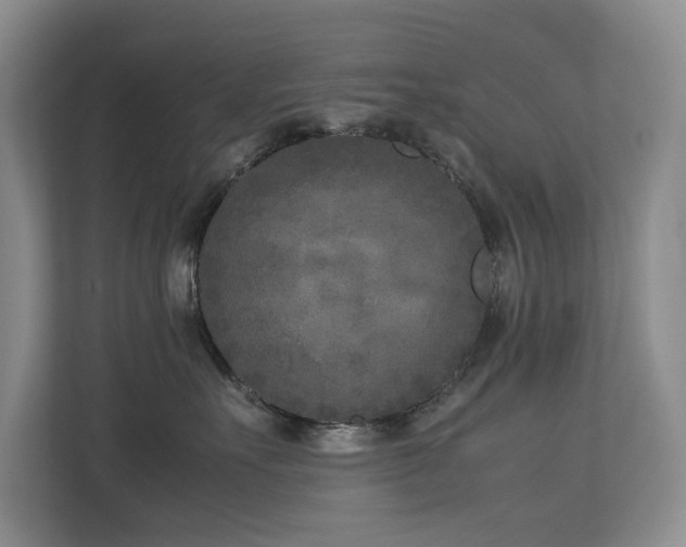 X0000112730527200908201328