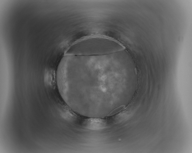 X0000112730528200908201328