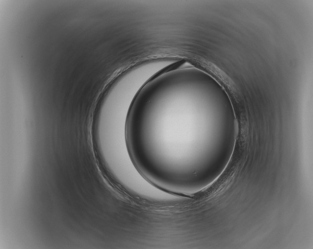 X0000112730530200908201328