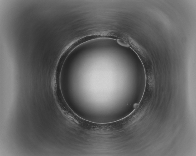 X0000112730532200908201328