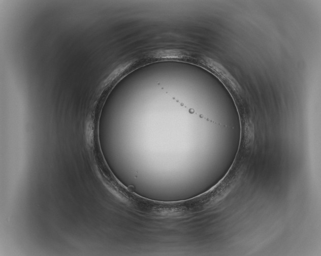 X0000112730533200908201328