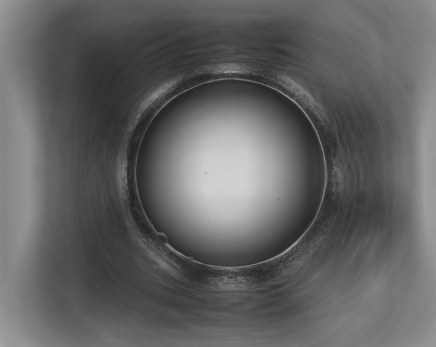 X0000112730535200908201328