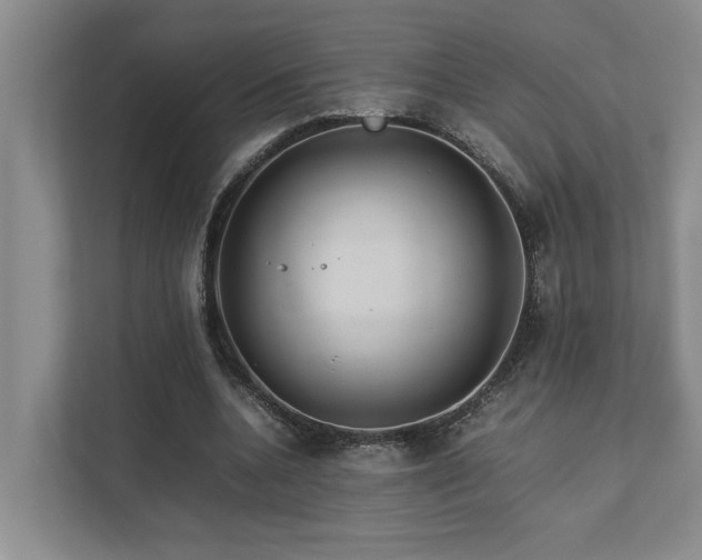 X0000112730536200908201328