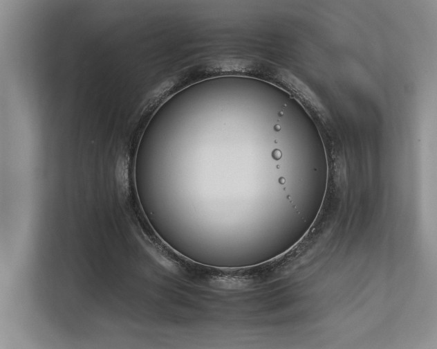 X0000112730537200908201328