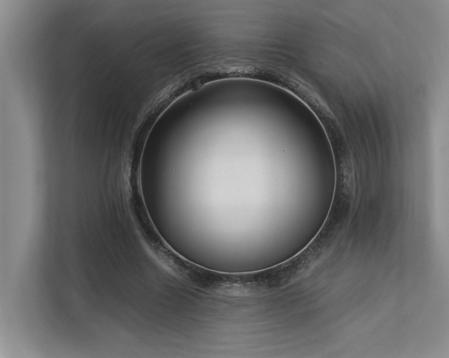 X0000112730538200908201328