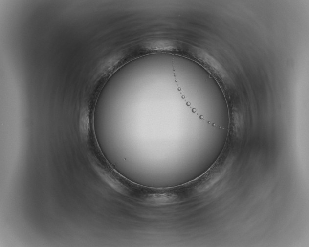 X0000112730541200908201328