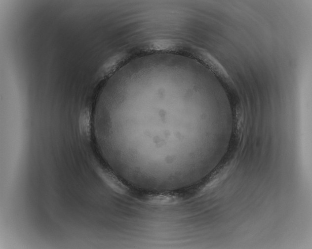 X0000112730542200908201328