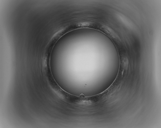 X0000112730543200908201328