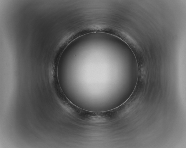 X0000112730544200908201328