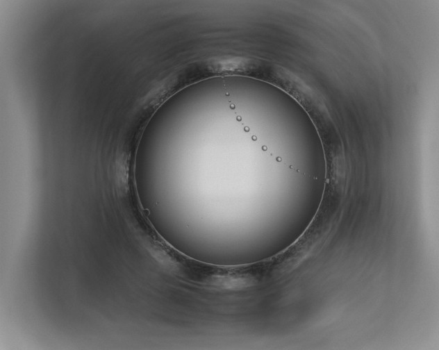 X0000112730545200908201328