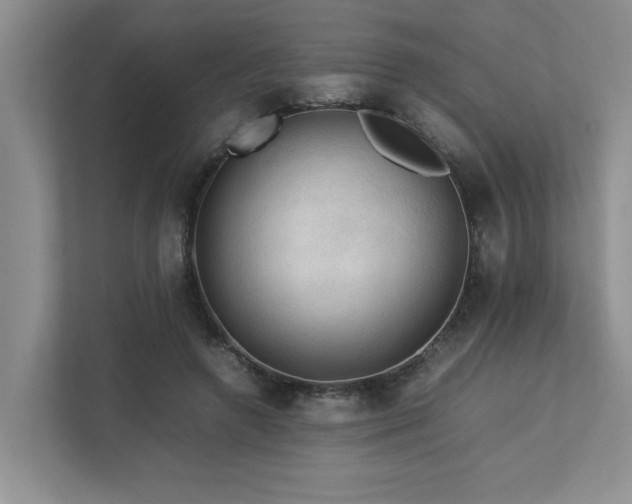 X0000112730546200908201328