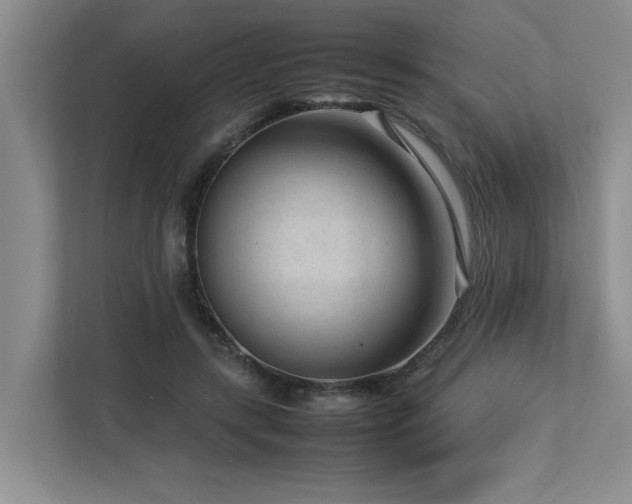 X0000112730547200908201328