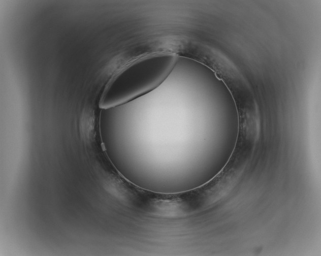 X0000112730548200908201328