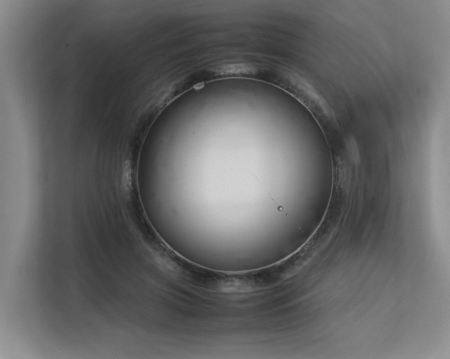 X0000112730549200908201328